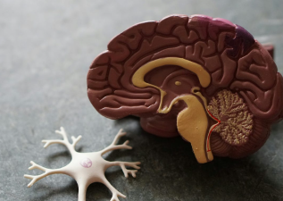 Your Mind Affects Your Body More Than You Think